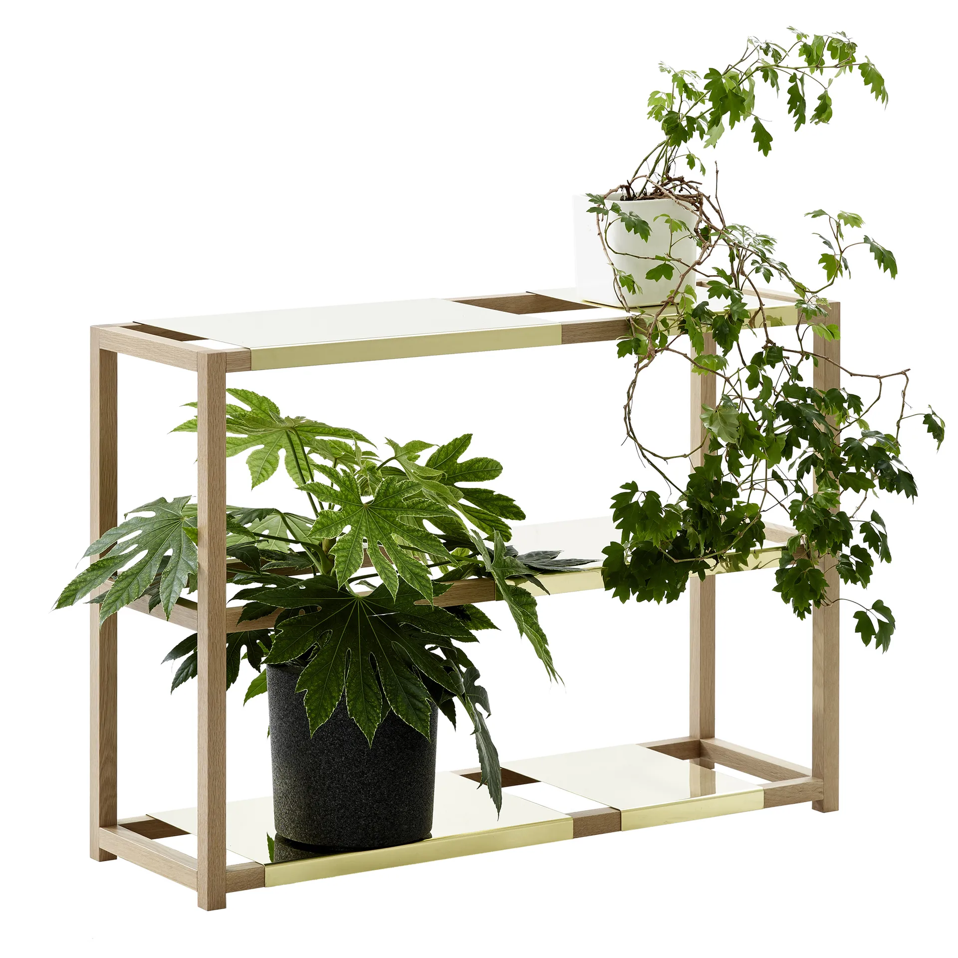The Botanic Shelf Medium hylla, ek svartbetsad, svarta metallhyllor Adea