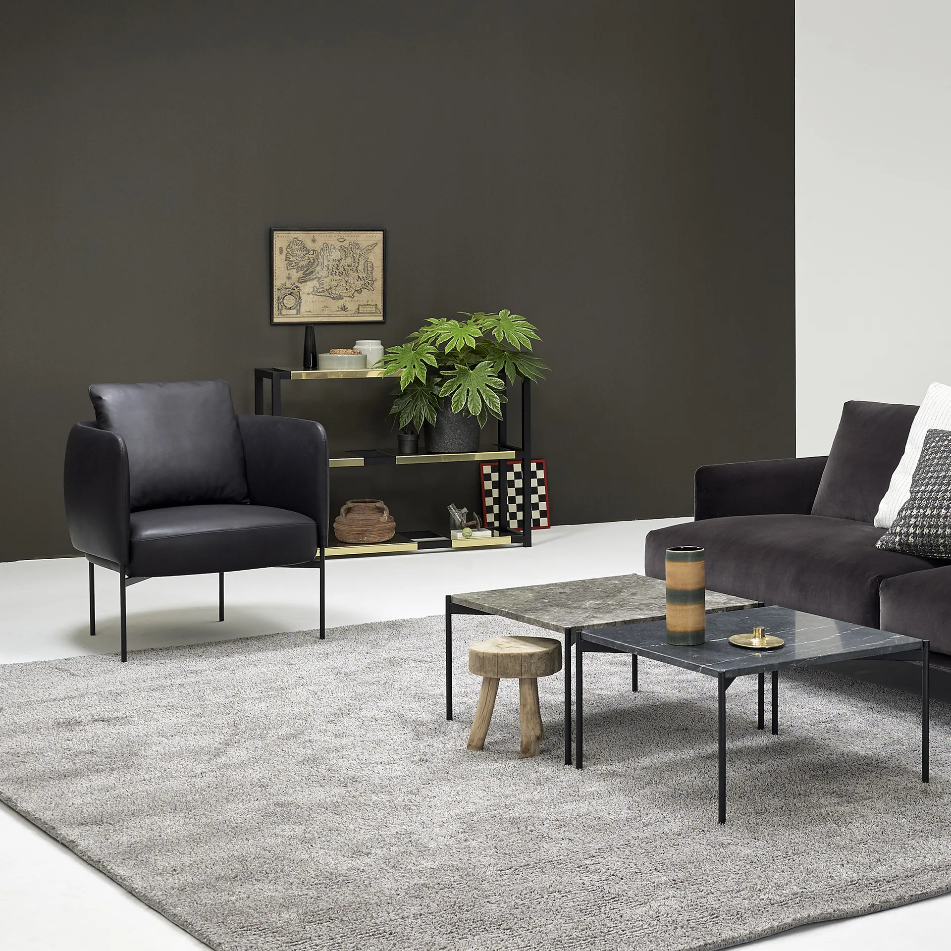 The Botanic Shelf Medium hylla, ek svartbetsad, svarta metallhyllor Adea