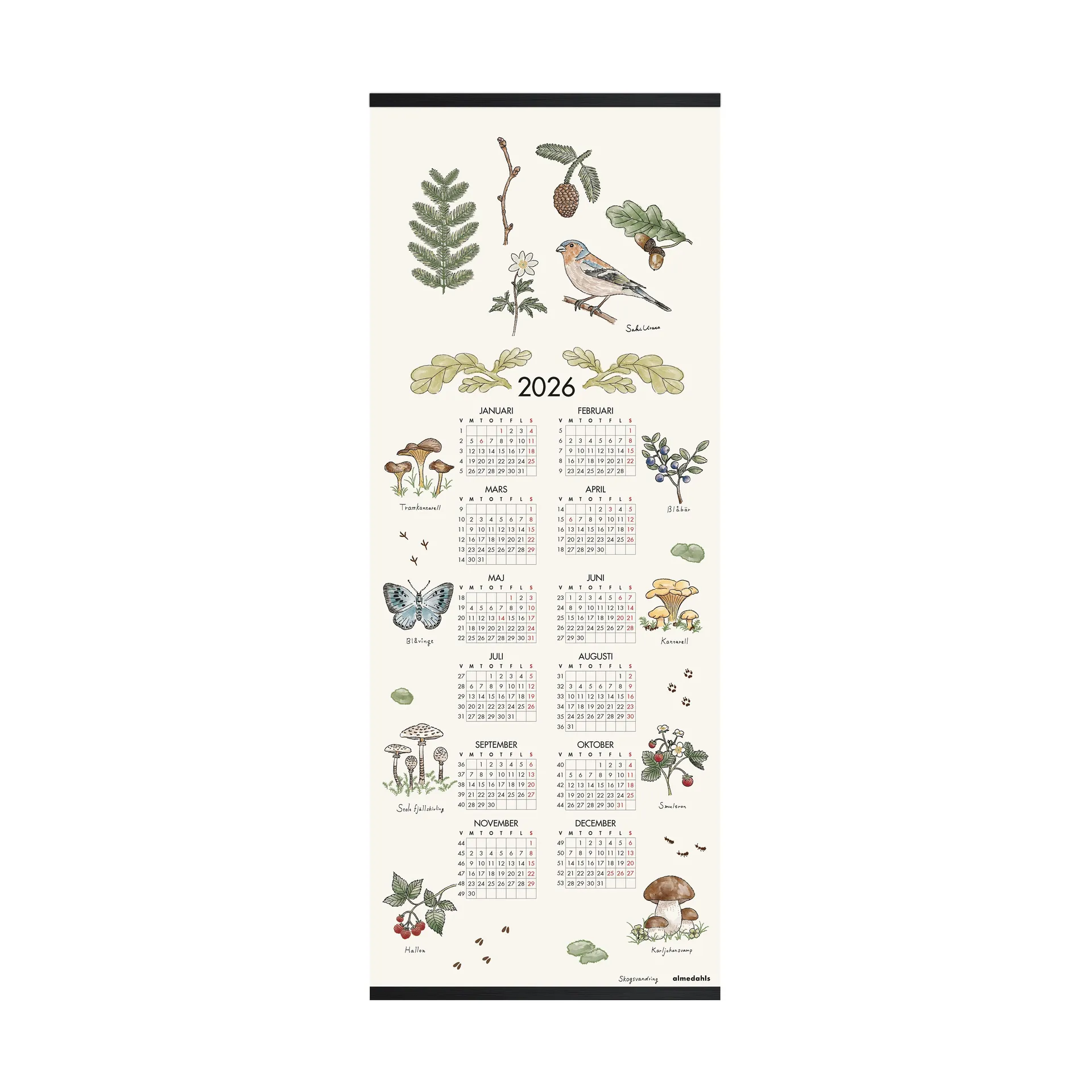 Skogsvandring kalender 2026, 35x90 cm Almedahls