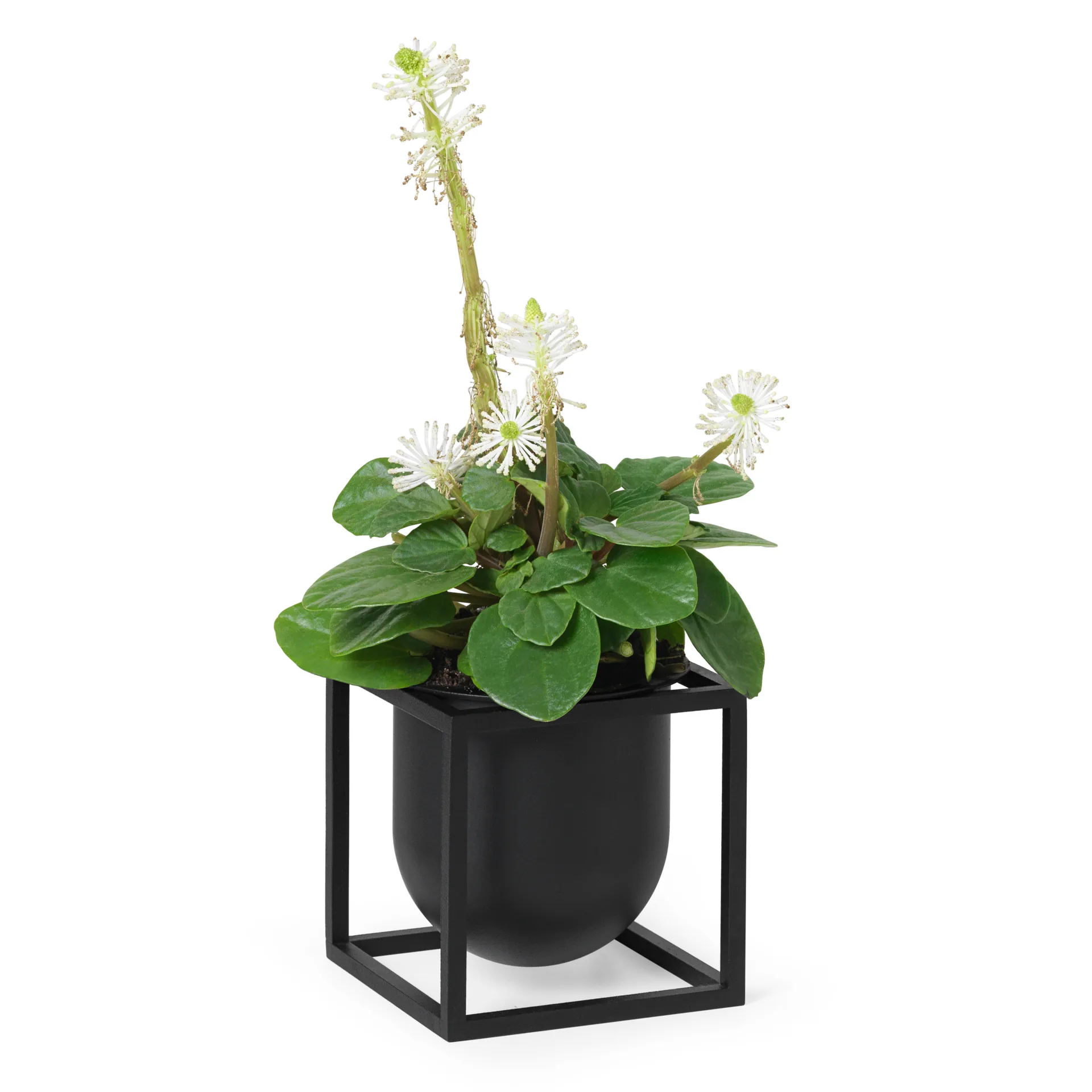 Kubus blomkruka 10 cm, Svart Audo Copenhagen