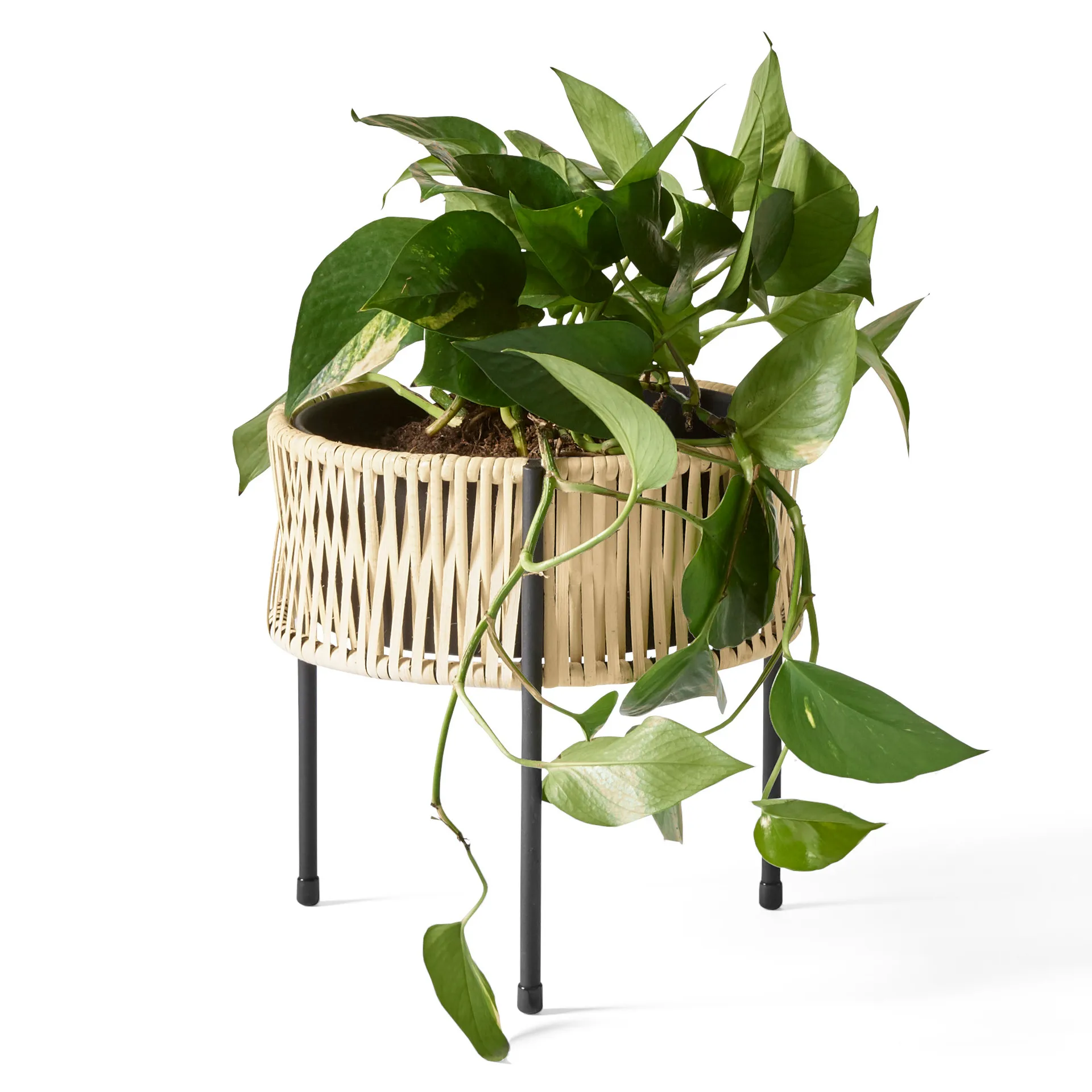 Umanoff planter blomlåda rotting-stål, h27 cm Ø27 cm Audo Copenhagen