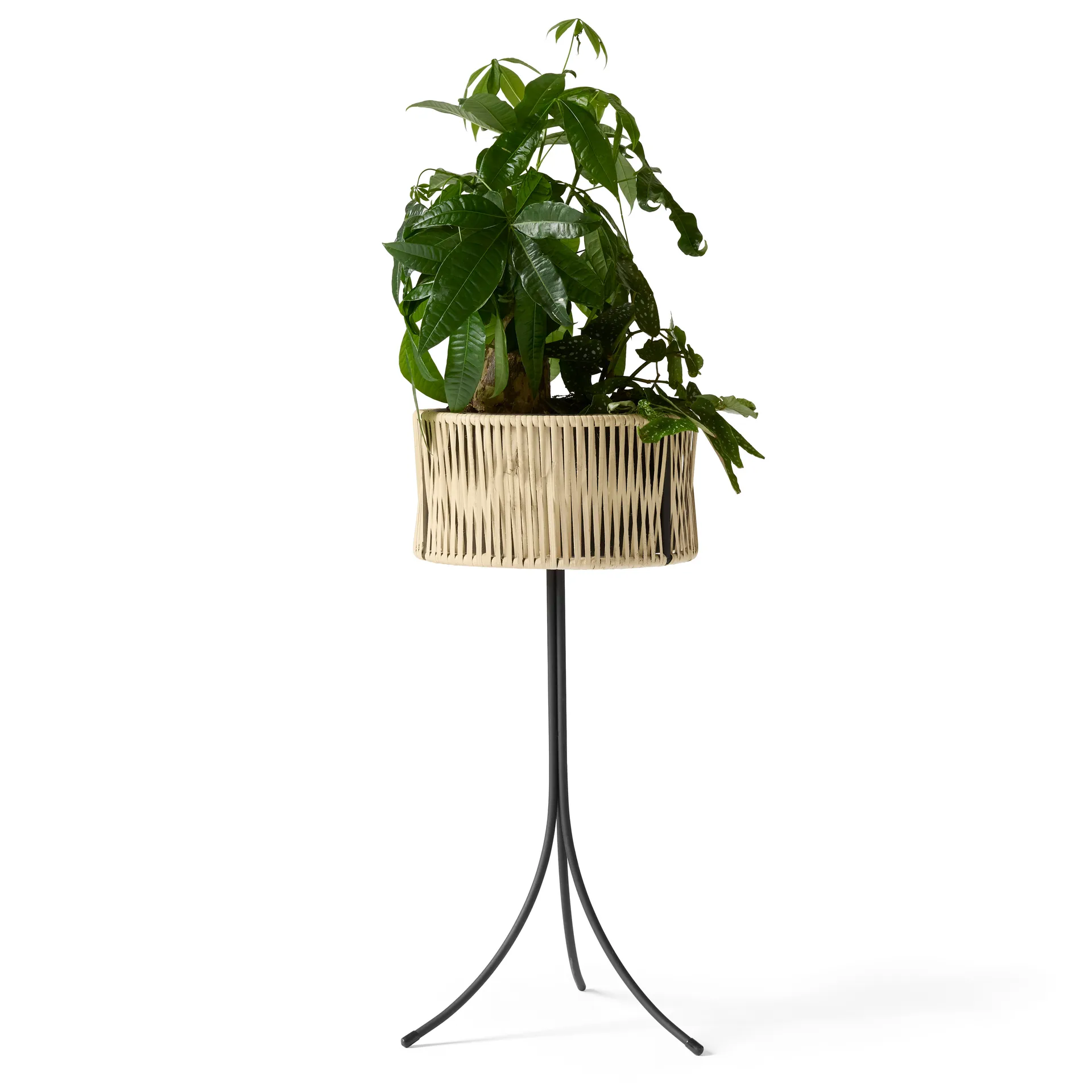Umanoff planter blomlåda rotting-stål, h69 cm Ø36,5 cm Audo Copenhagen