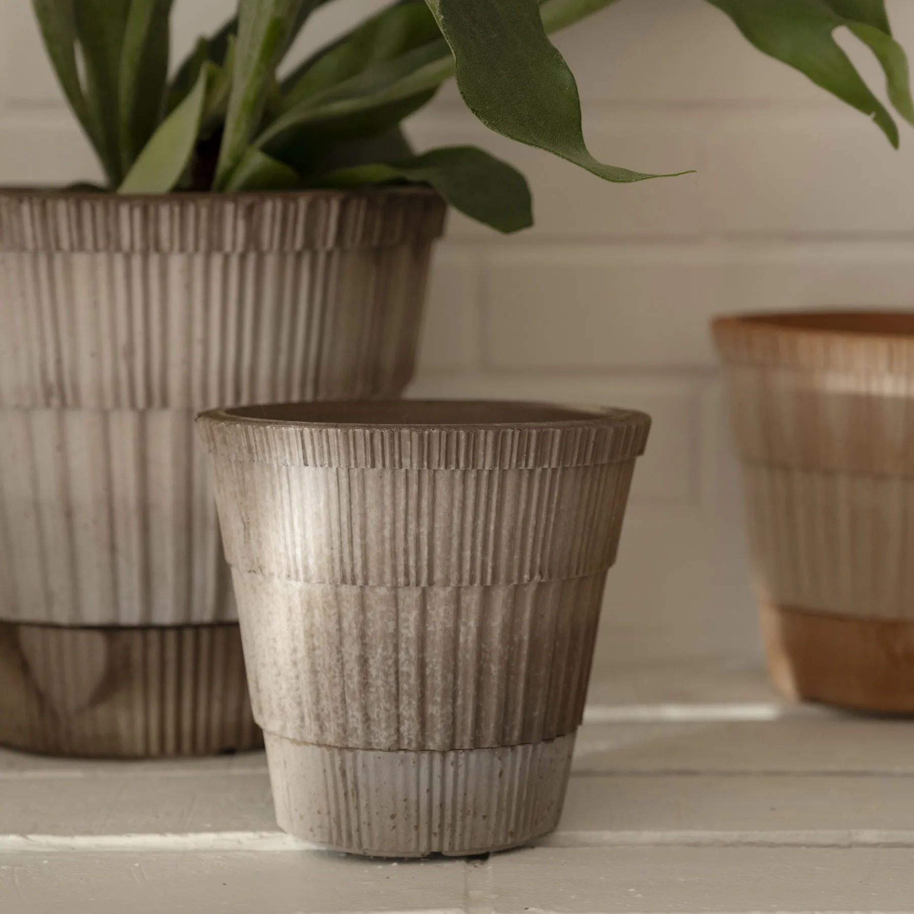 Atlas raw kruka med fat, Grey, Ø16 cm Bergs Potter