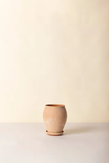 Delphi kruka med fat 2 delar - Rosa, Ø22 cm, tall - Bergs Potter