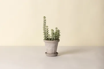 Fleur kruka med fat 2 delar - Grey, Ø14 cm - Bergs Potter