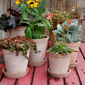 Helena kruka Ø16 cm - Rosa - Bergs Potter