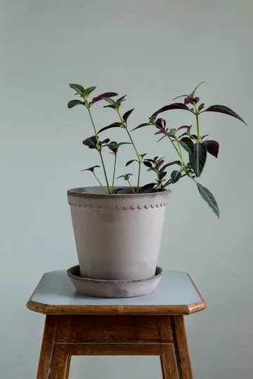 Helena kruka Ø25 cm - Grå - Bergs Potter