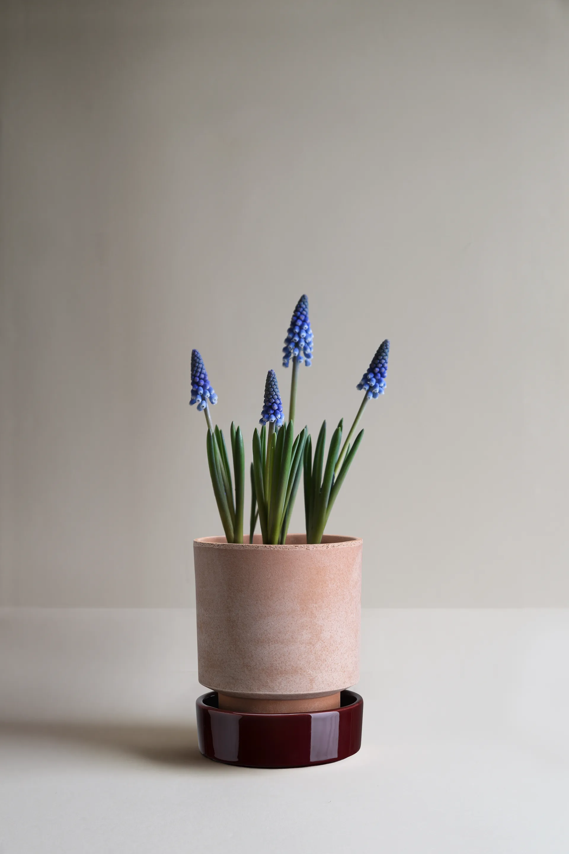 Hoff kruka, Ø14 cm, Raw Rosa-Deep Burgundy (rosa-röd) Bergs Potter