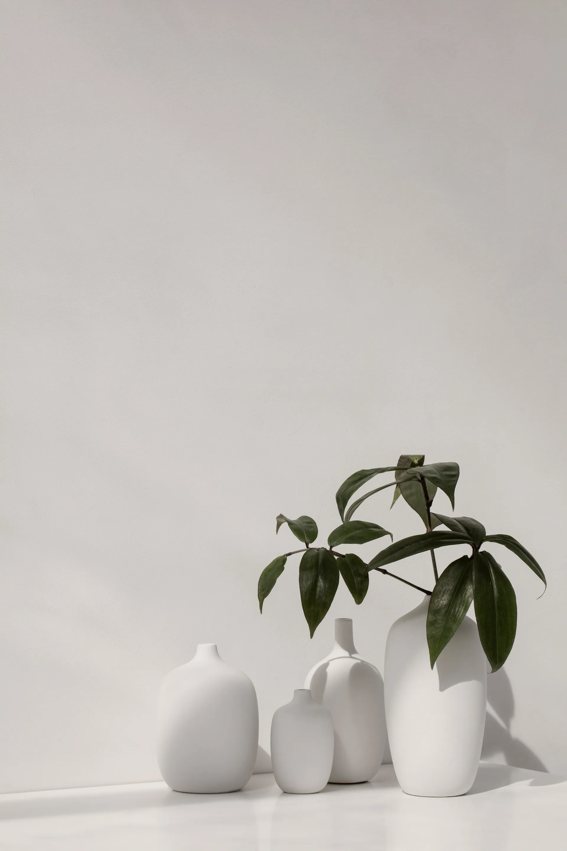 Ceola vas 18,5 cm, Vit blomus
