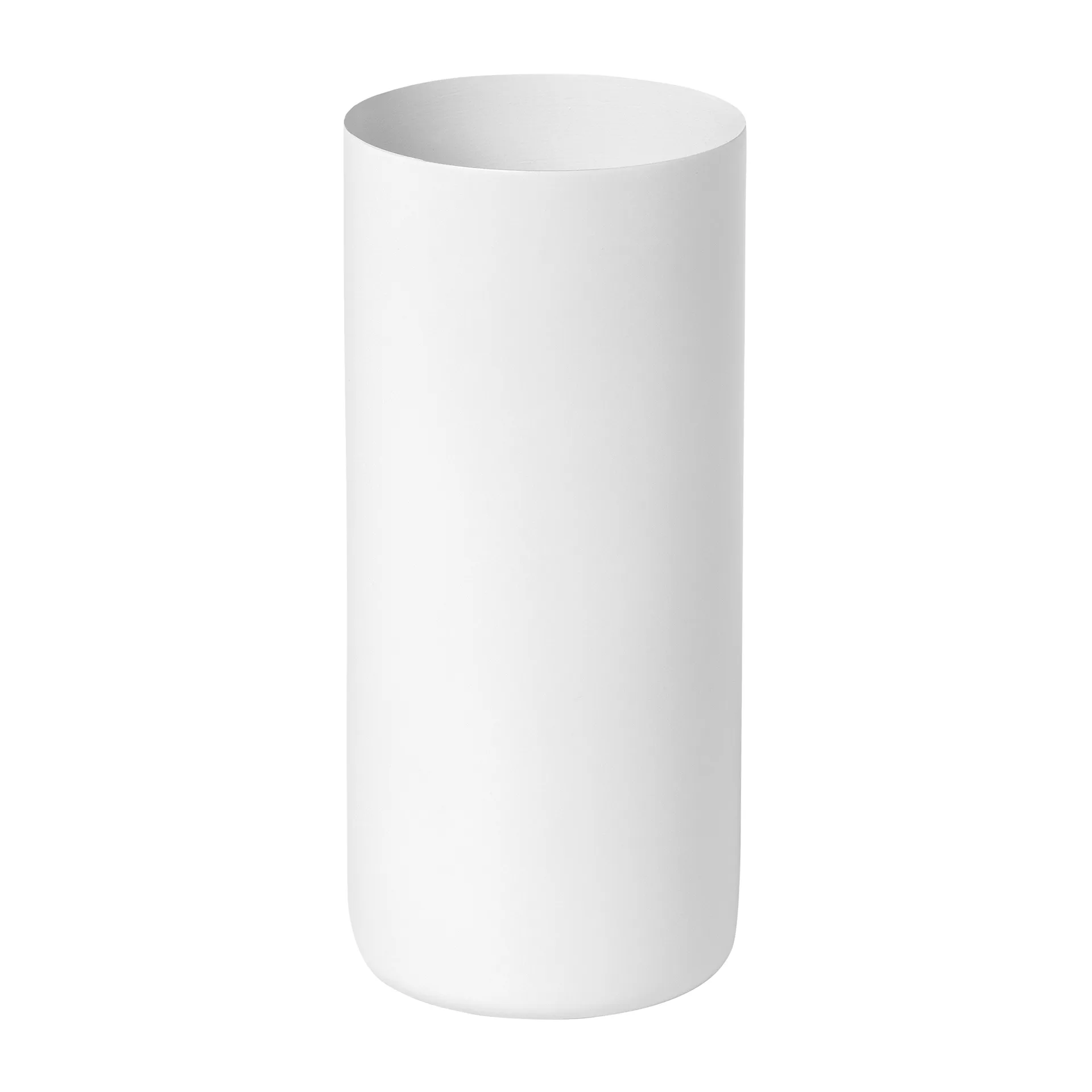 Modo tandborstmugg, Vit blomus
