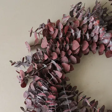Eucalyptus Wreath krans - Dark red, Ø40 cm - Botané