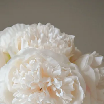 Pioner konstgjord bukett - Mini, cream 10 st - Botané