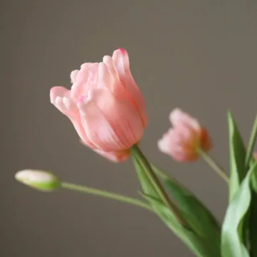 Tulpaner triumph konstgjord bukett - Ljusrosa, 10 st - Botané