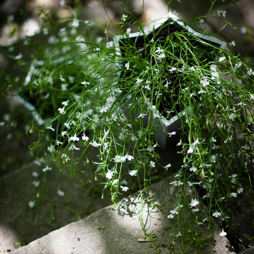 Stjärnkruka kruka, Aluminium, hög Ø30 cm Byarums bruk