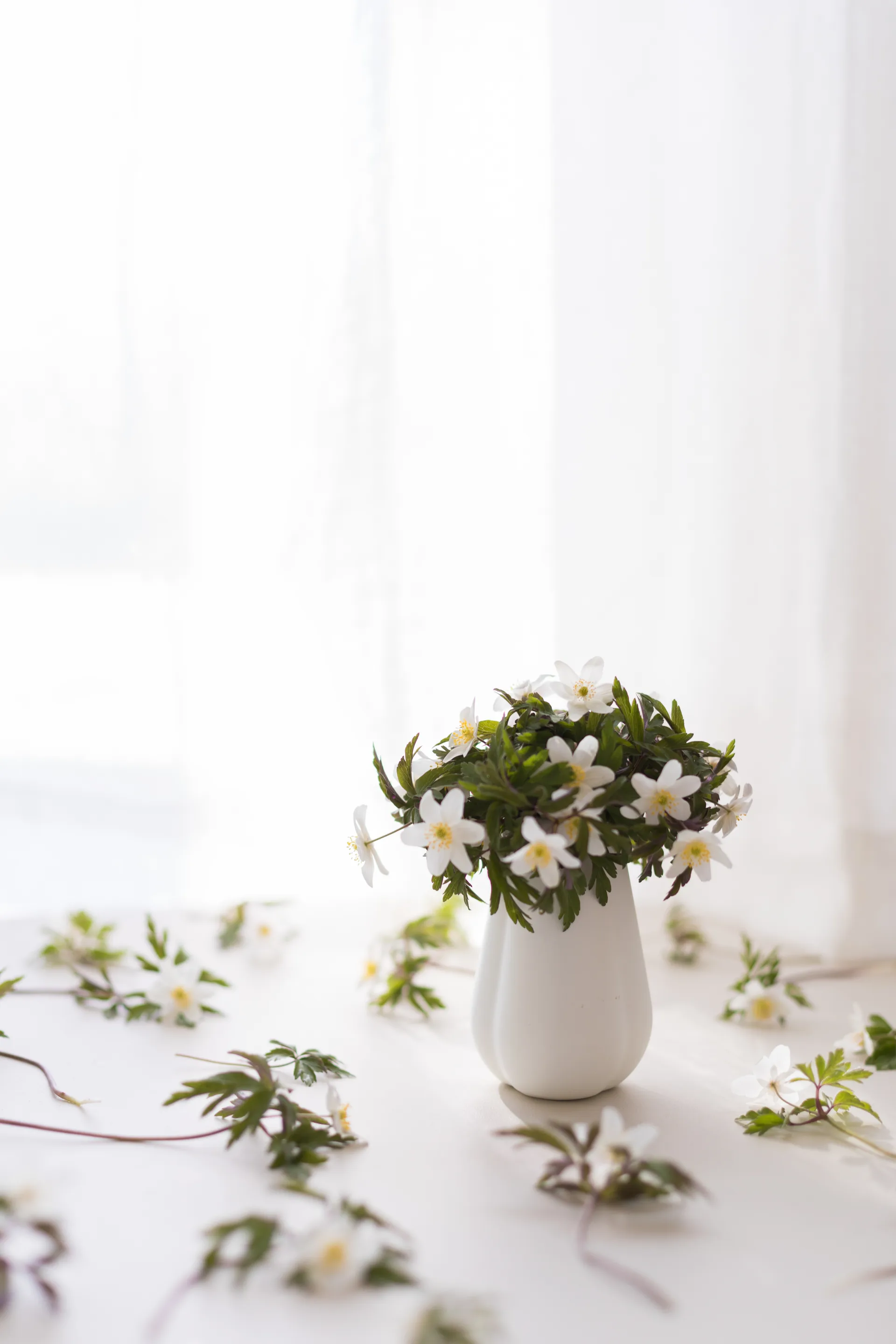 Clover vas 11 cm, White Cooee Design