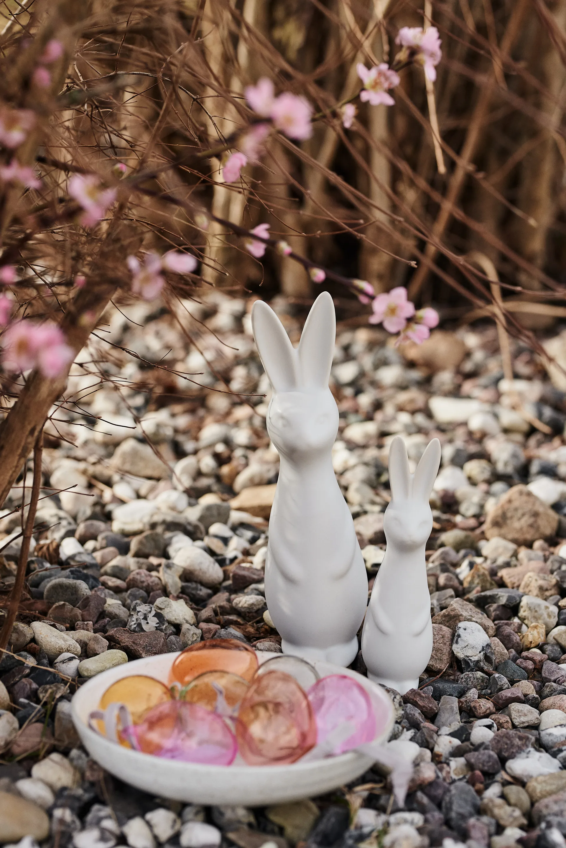 Swedish rabbit small, White DBKD