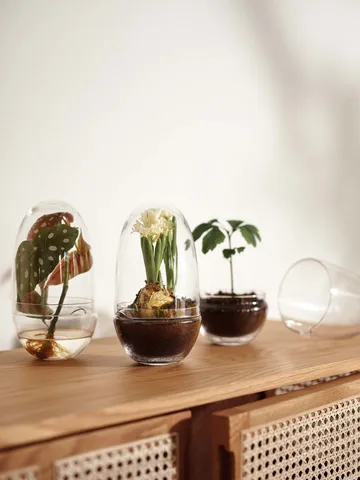 Grow odlingskupa - Medium Ø11 cm - Design House Stockholm