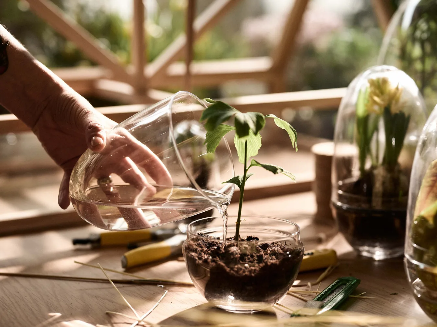 Grow odlingskupa, Medium Ø11 cm Design House Stockholm