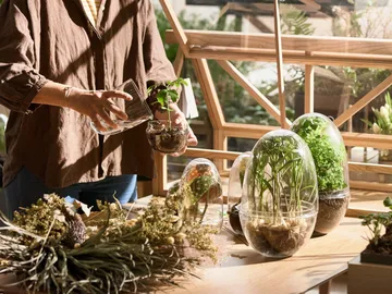 Grow odlingskupa - Medium Ø11 cm - Design House Stockholm
