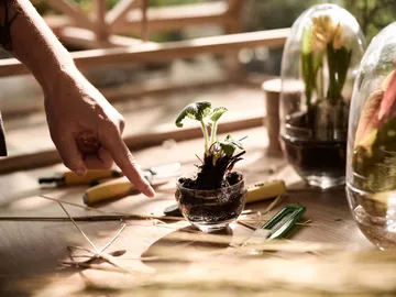 Grow odlingskupa - small Ø8 cm - Design House Stockholm