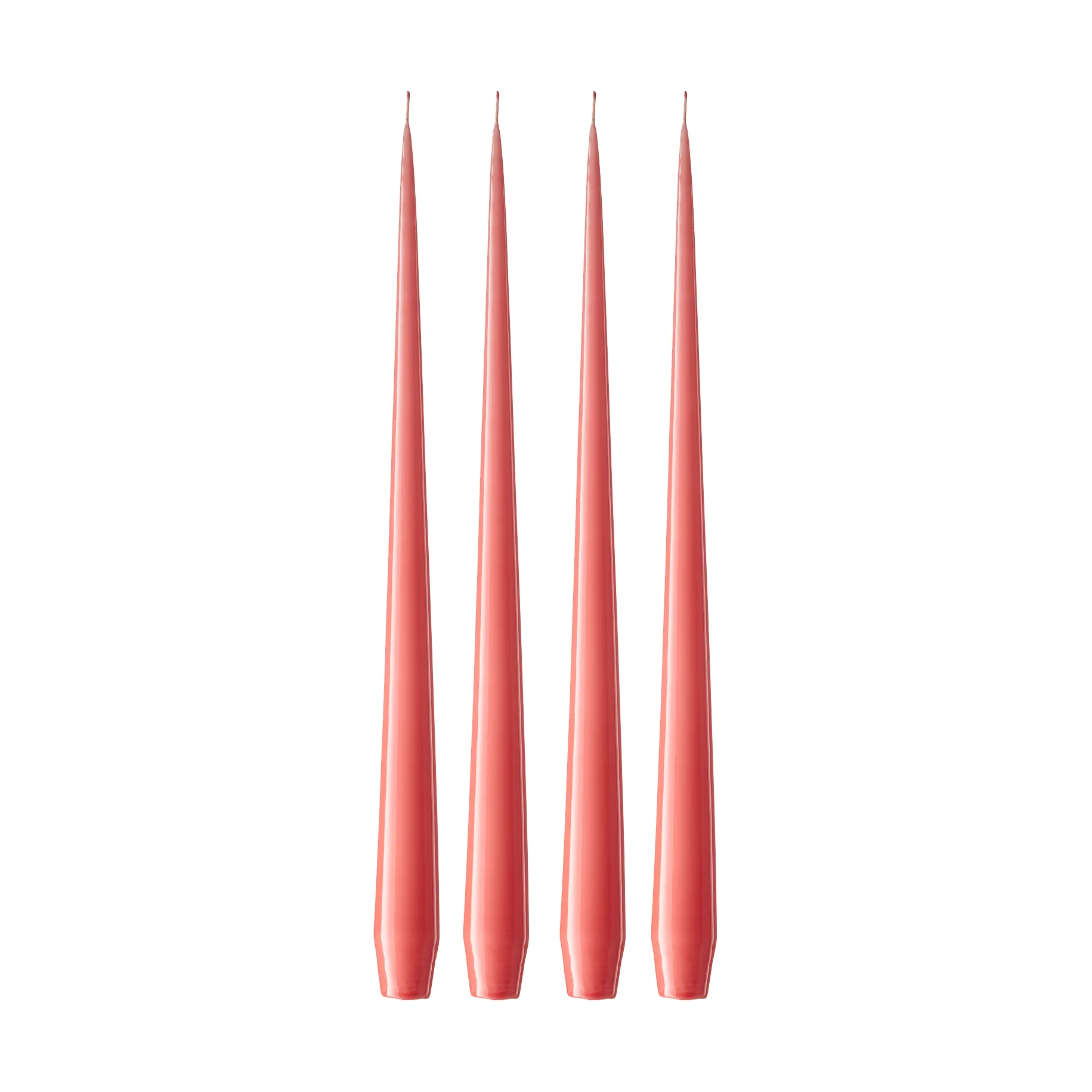 ester & erik ljus lackad 4-pack, Coral reef 26, 42 cm ester & erik