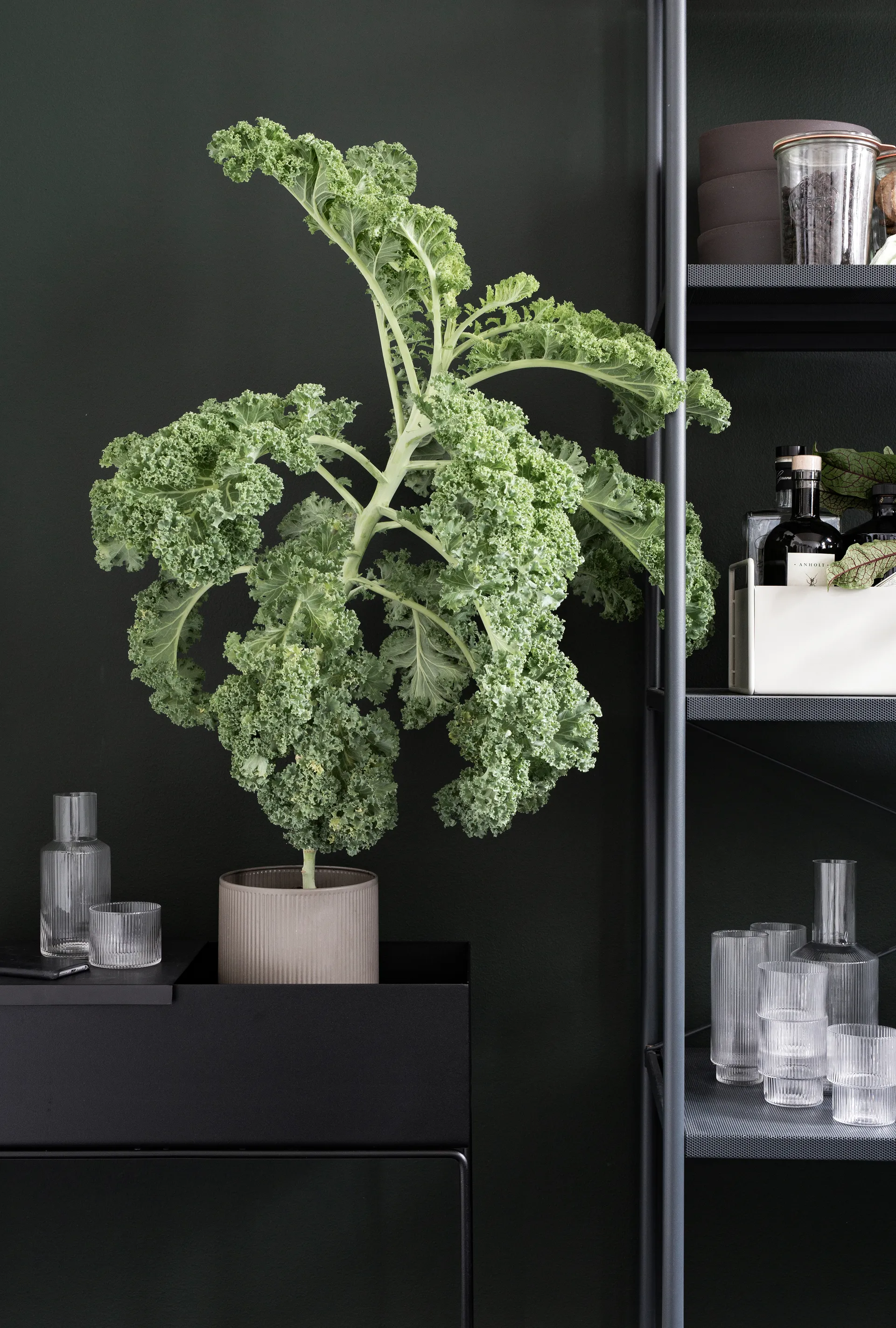 Ferm Living plant box, Black (svart) Ferm Living