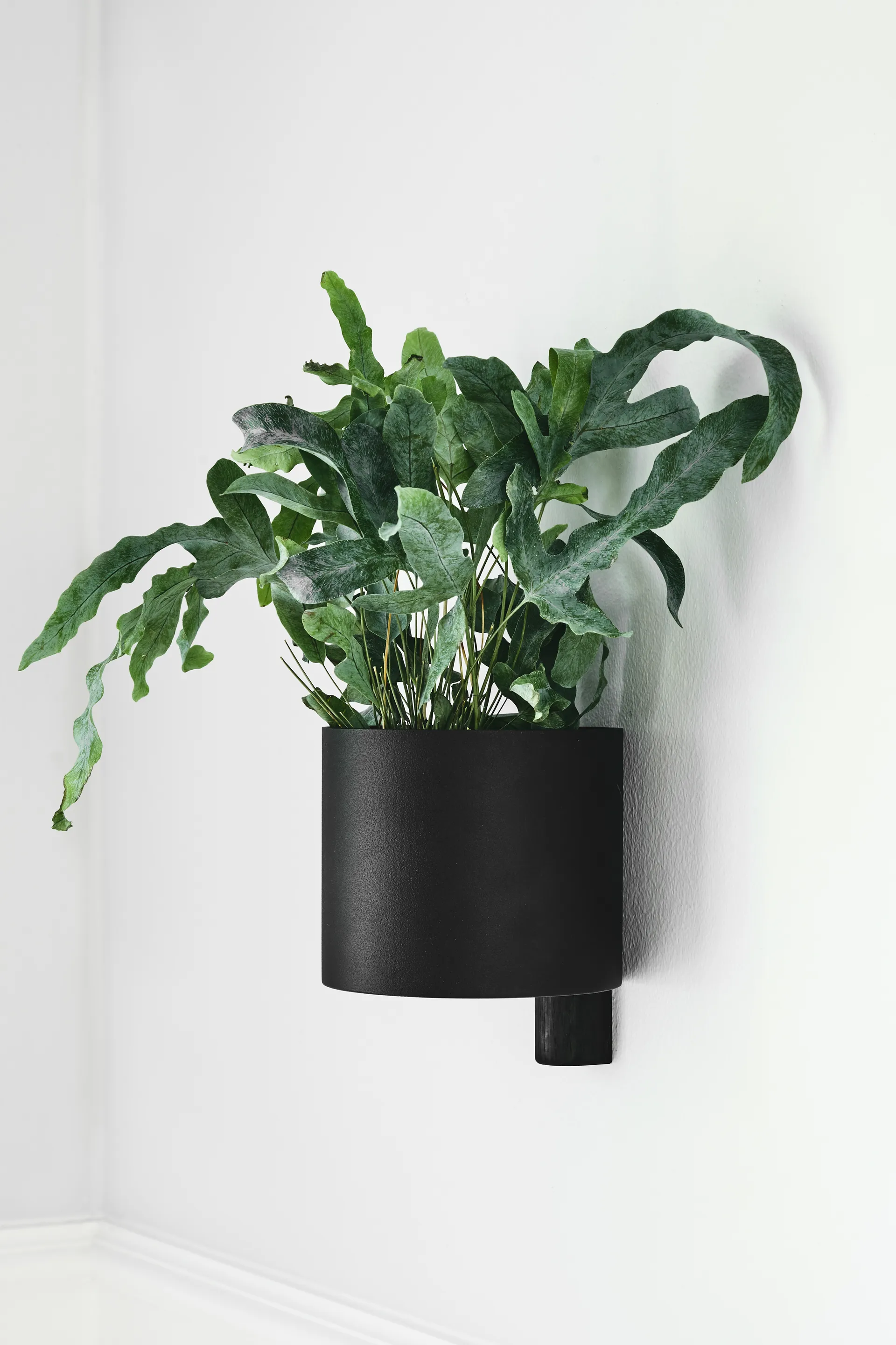 Kollage blomkruka Ø14 cm, Svart-Ek Gejst