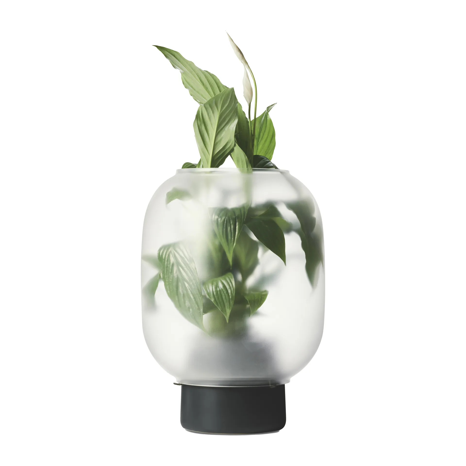 Nebl kruka med frostat glas Ø26 cm, Svart Gejst
