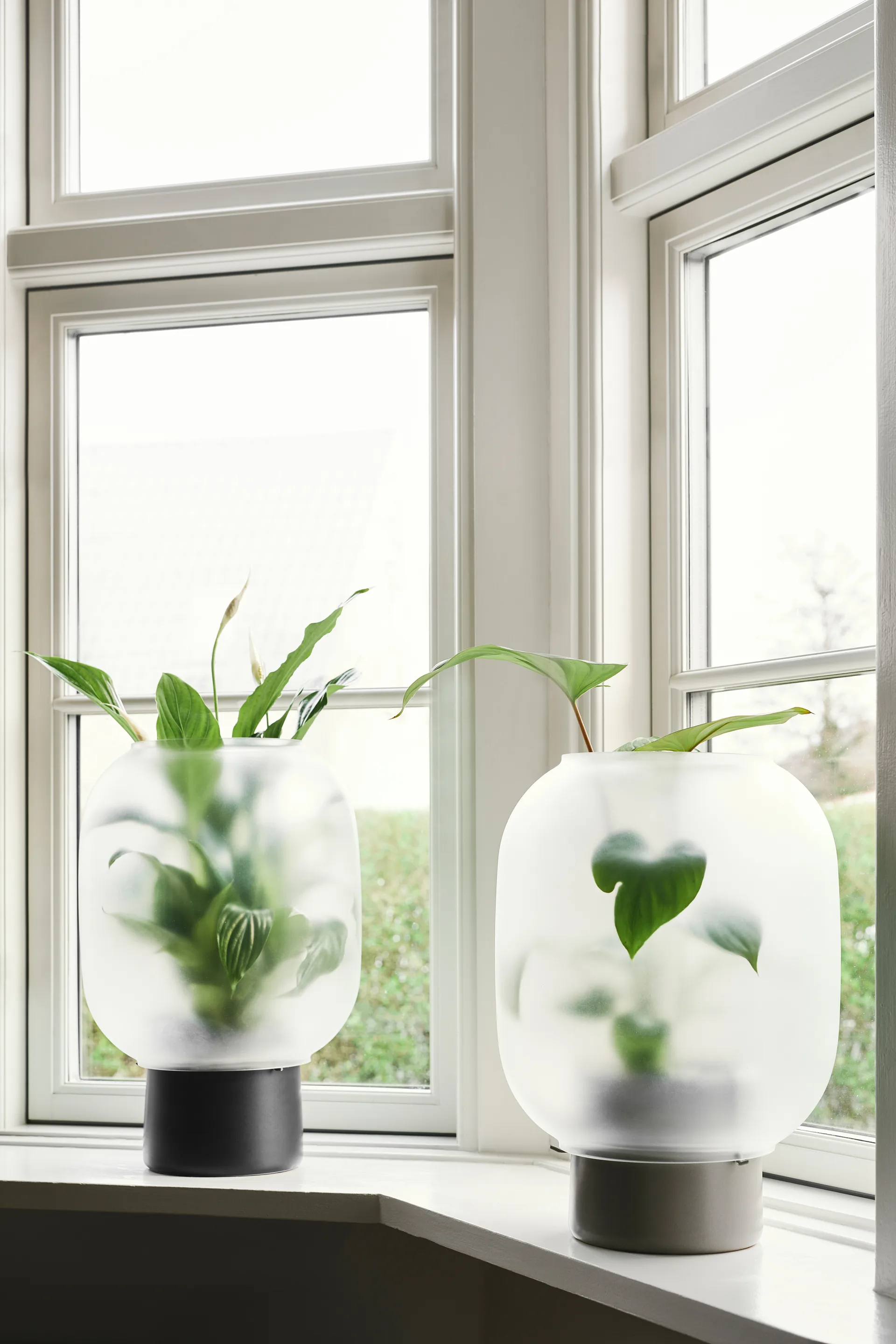 Nebl kruka med frostat glas Ø26 cm, Svart Gejst