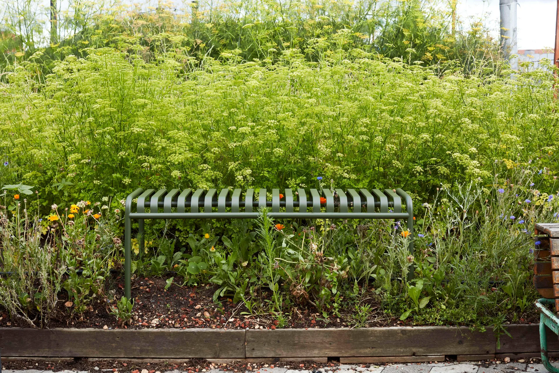 Palissade bänk 120x42 cm, Olive HAY