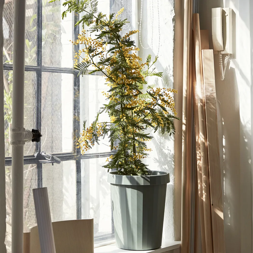 Shade papperskorg, dusty green, 14 l HAY
