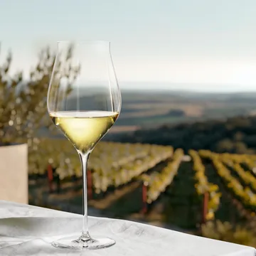 Notes vitvinsglas 2-pack - 63 cl - Holmegaard