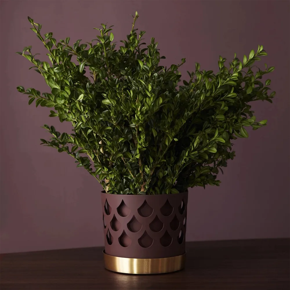 Trio Pot Drop Kruka, dark red, liten Ø12 cm KLONG