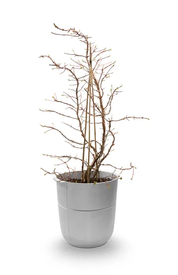 Linea kruka nr 1 hög - Aluminium - KORBO
