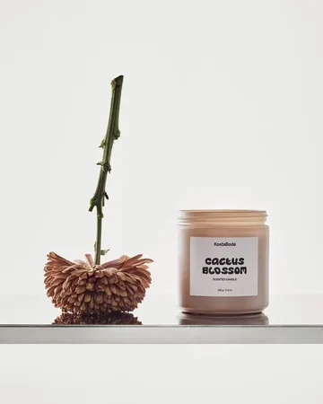 Mind doftljus - Cactus Blossom, 330 g - Kosta Boda