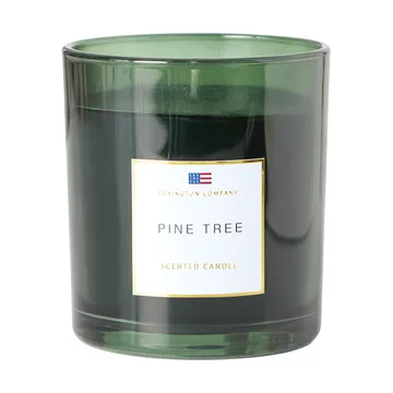 Pine Tree Scented Candle - Pine Tree doftljus - Lexington