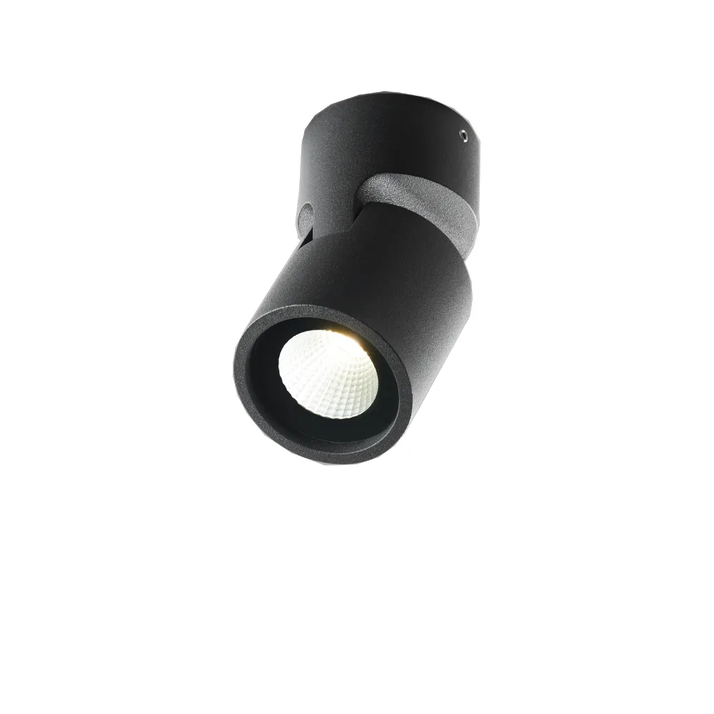 Tip 1 spotlight, black Light-Point