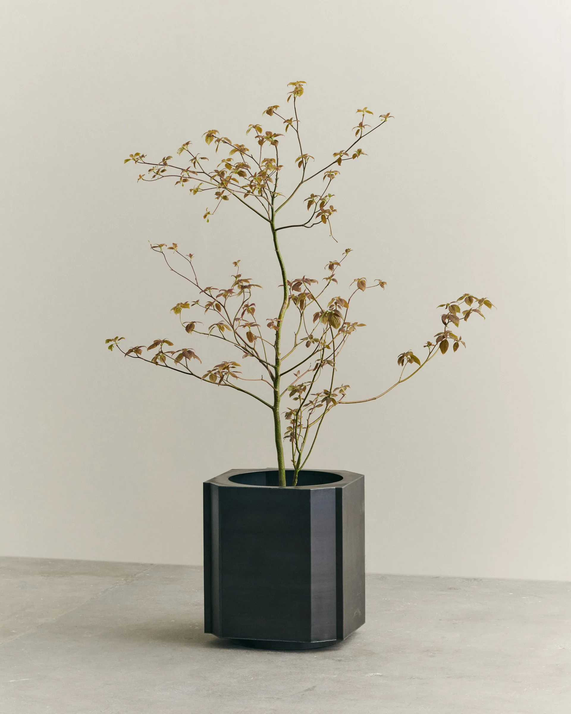 Funki kruka XL 70 cm, Raw Iron Louise Roe