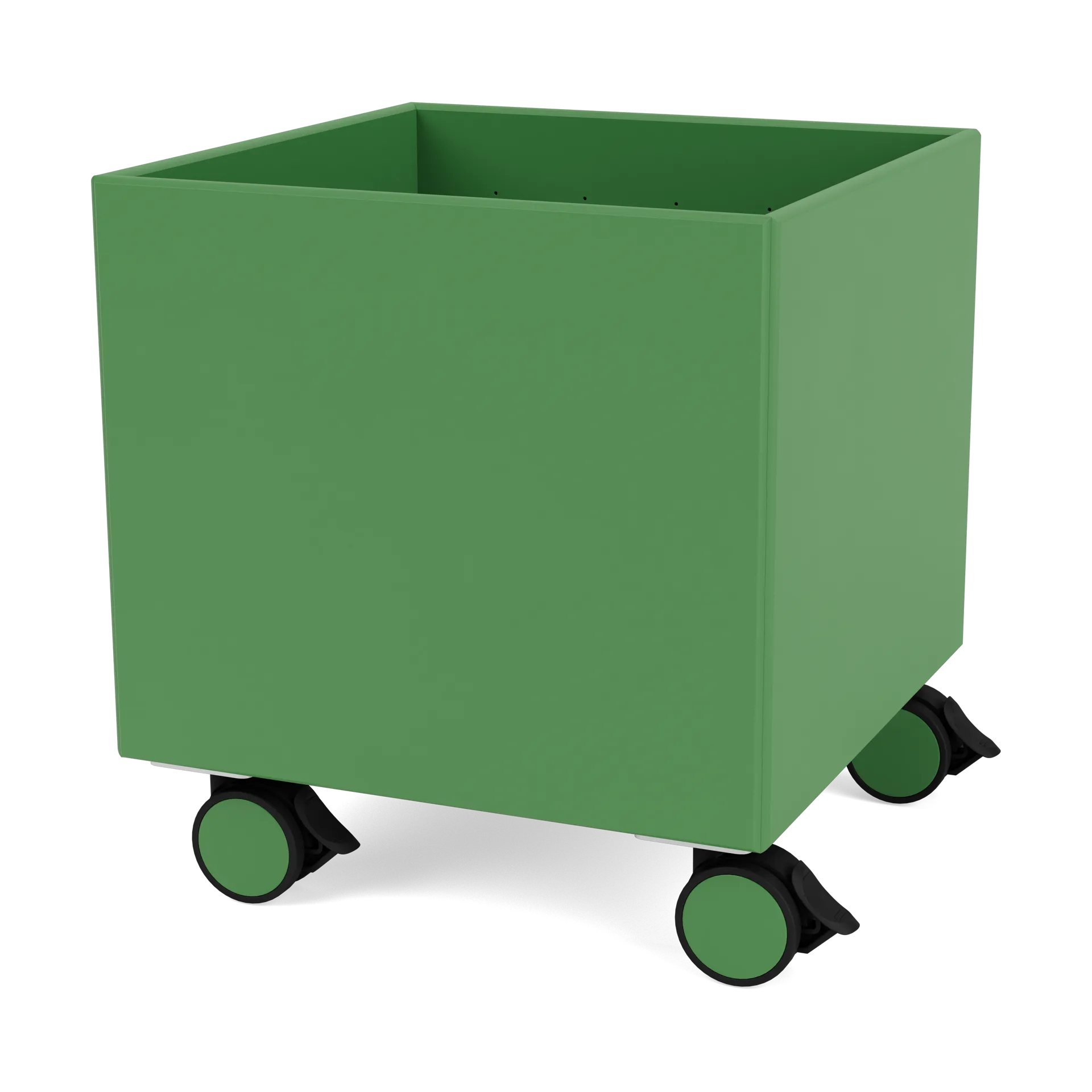 Colour Box I – S6161, Parsley Montana