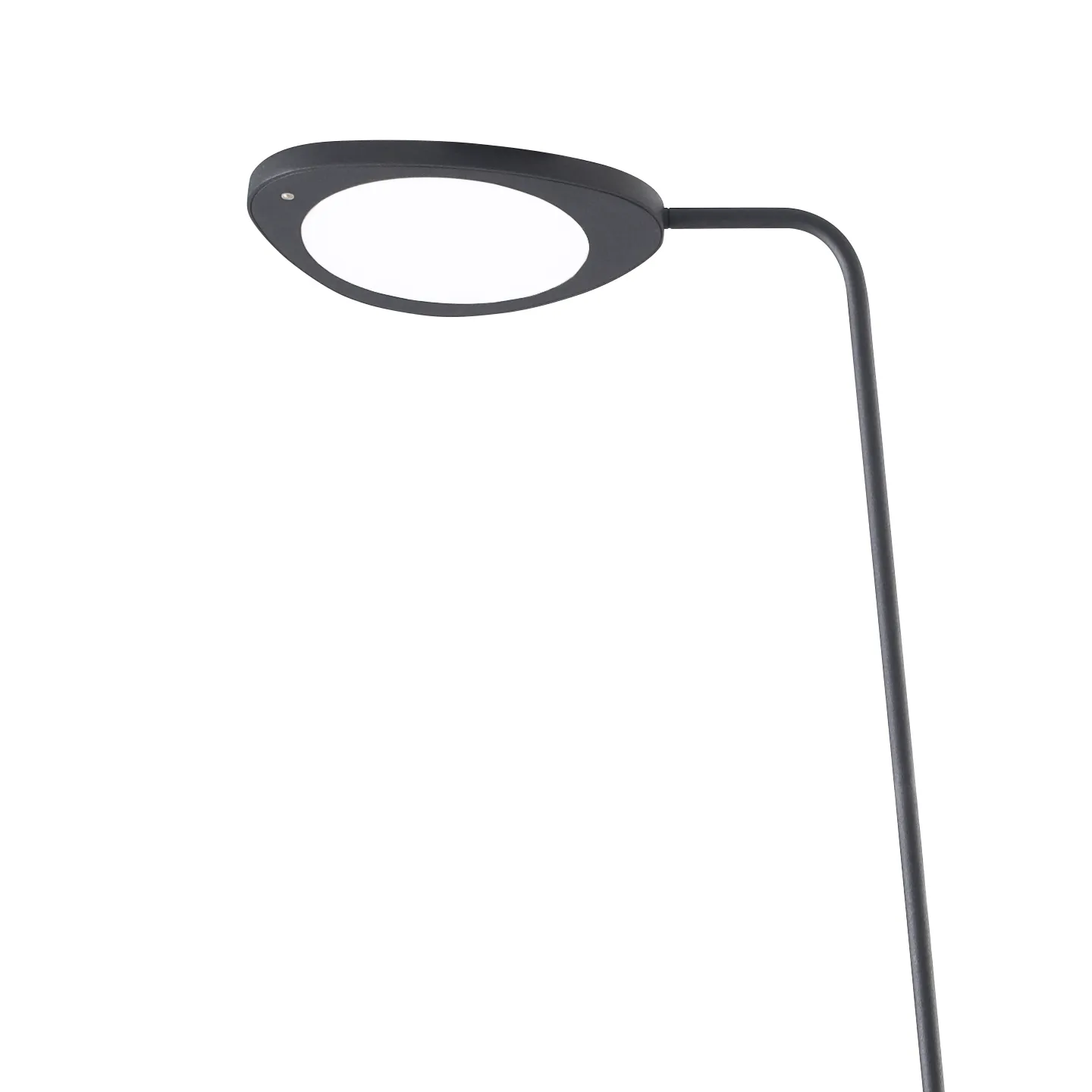 Leaf golvlampa, Svart Muuto