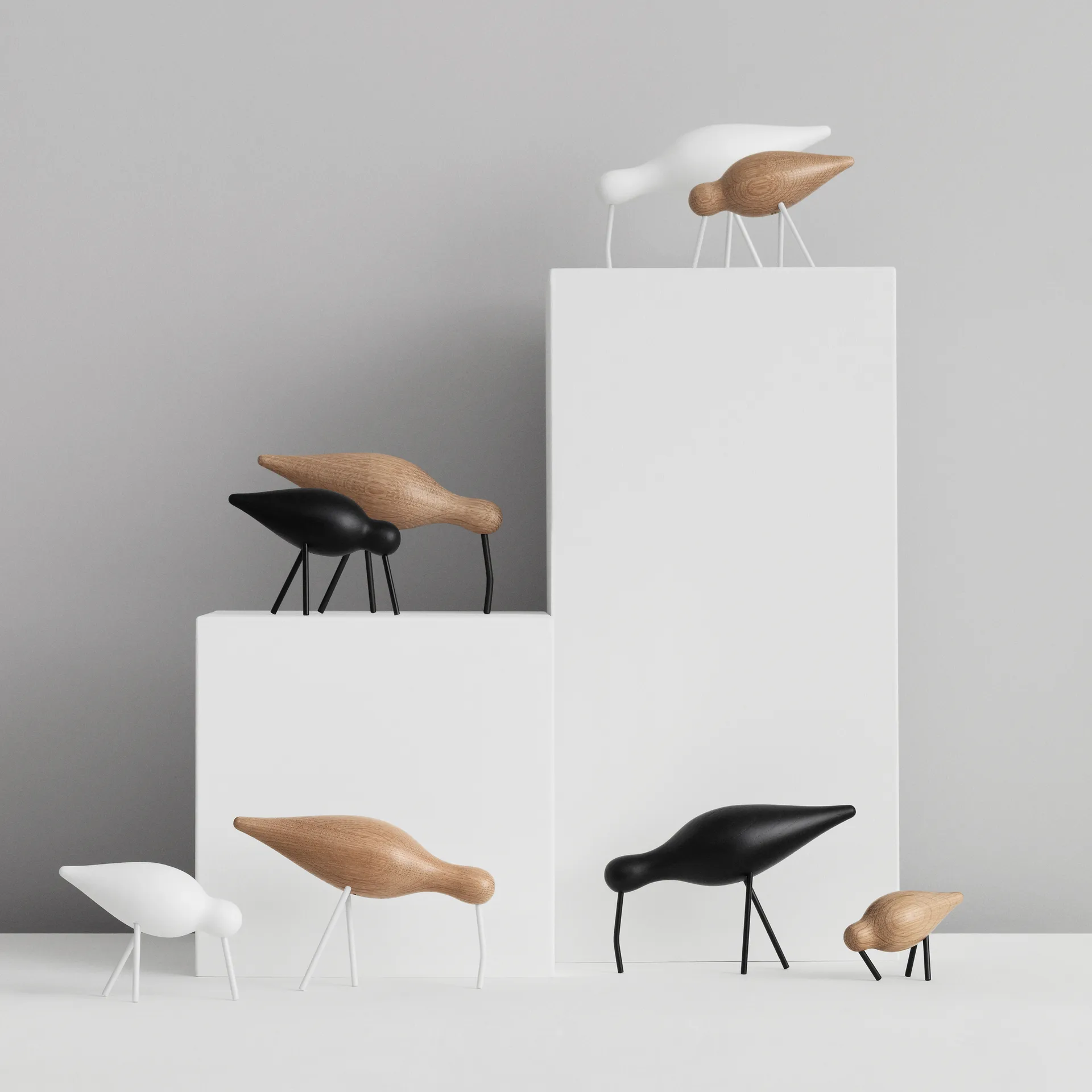 Shorebird ek-vit, Mellan Normann Copenhagen