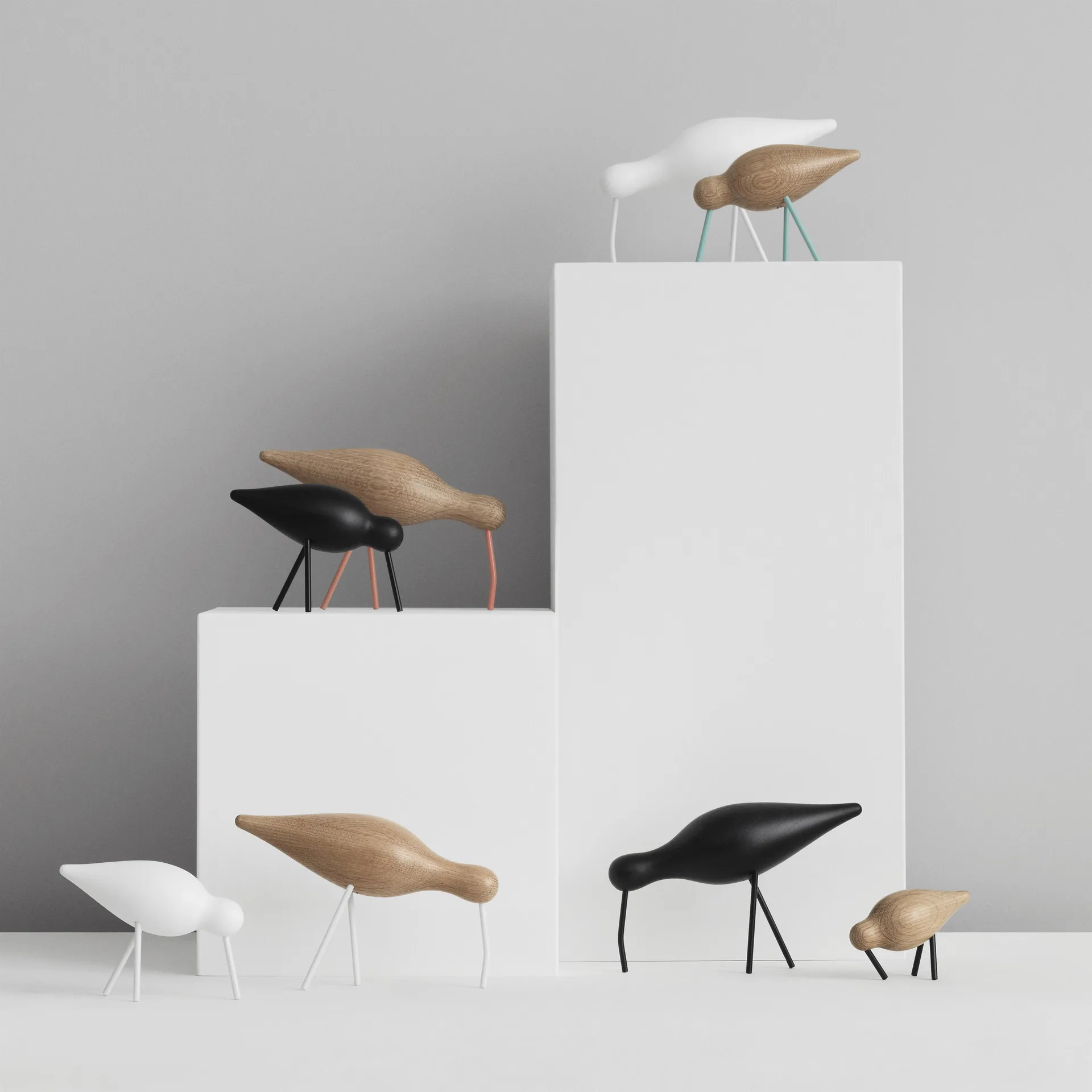 Shorebird svart, Stor Normann Copenhagen