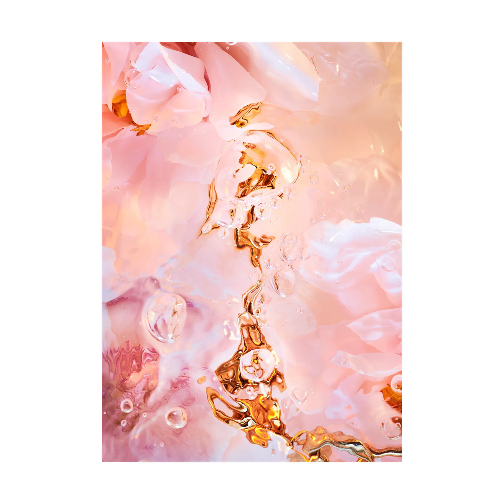 Flora Aquatica 02 poster, 70x100 cm Paper Collective