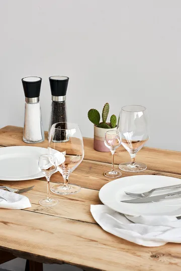 Premium ölglas 60 cl 2-pack - Klar - Rosendahl