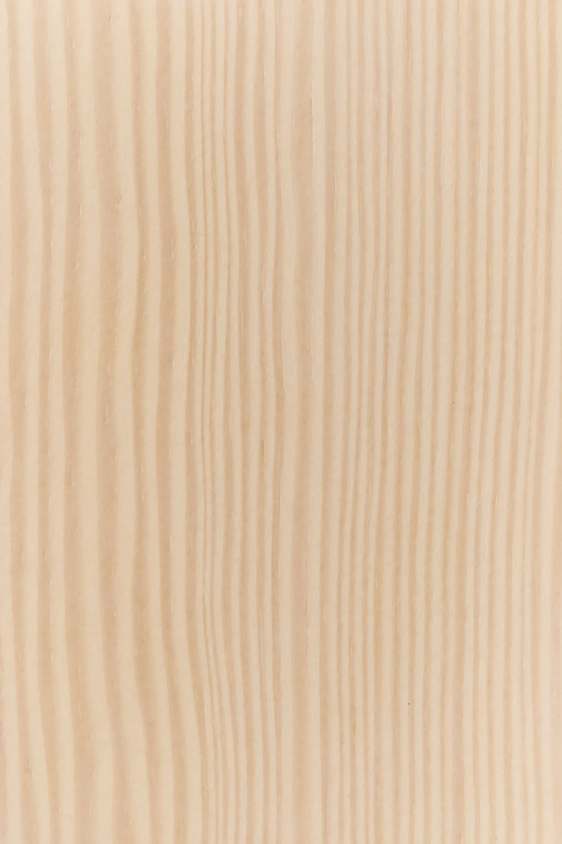 Tree wall väggmonterad rockhängare Special Edition 134 cm, Vitpigmenterad furu Swedese
