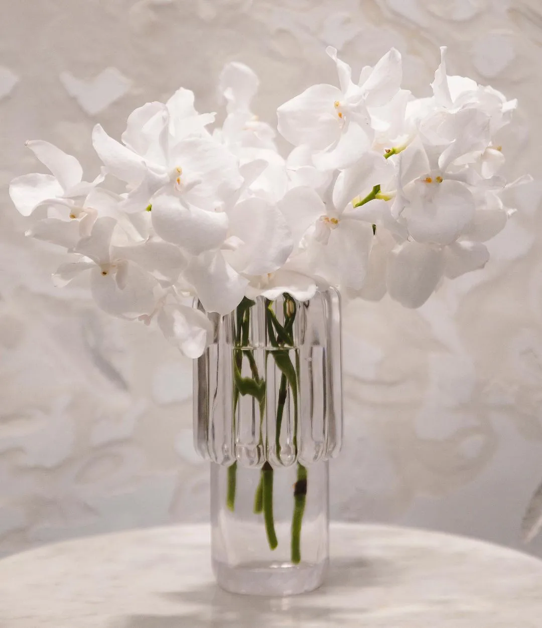 Press Medium vas, Klar Tom Dixon
