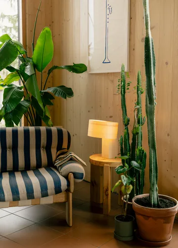 018 Hoop Table Lamp bordslampa - Matt oljevaxad furu, 23 cm - Vaarnii