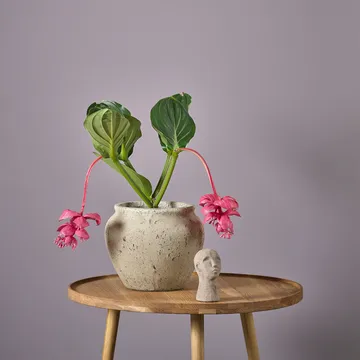 Loev kruka - Grå, medium Ø30.5 cm - Villa Collection