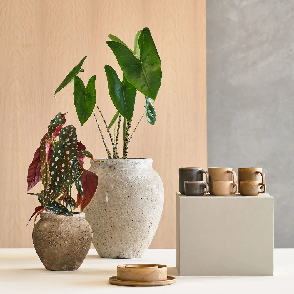 Loev kruka, Grå, medium Ø30.5 cm Villa Collection