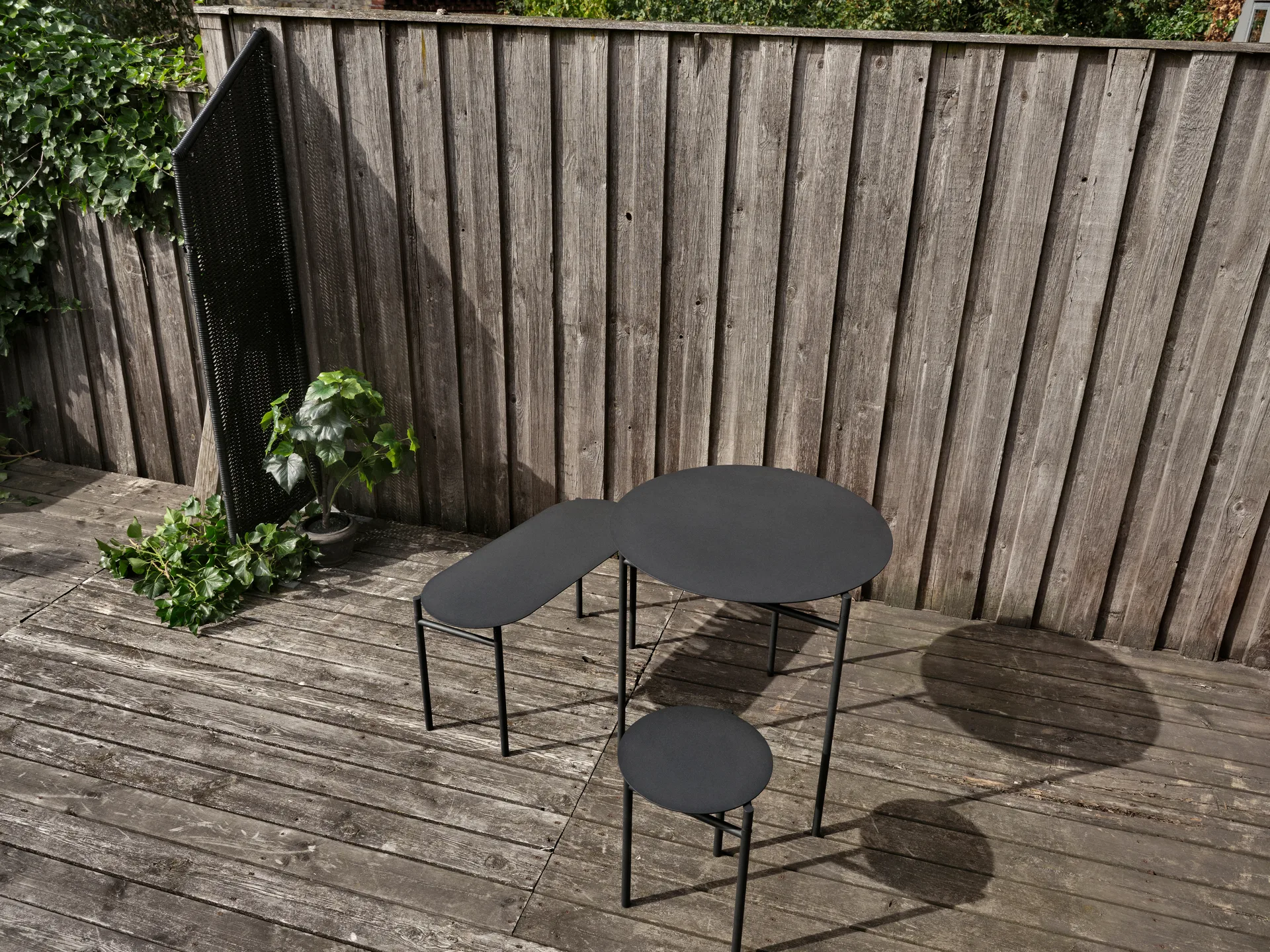Disc pall, Black Zone Denmark